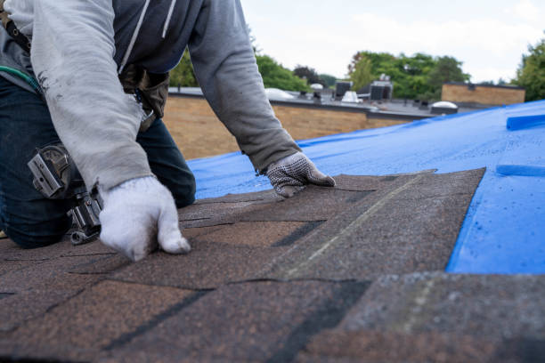 Trusted Magnolia, AR Roofing Contractor Experts