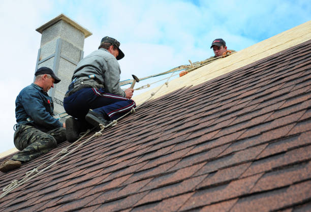 Best Roof Gutter Cleaning  in Magnolia, AR